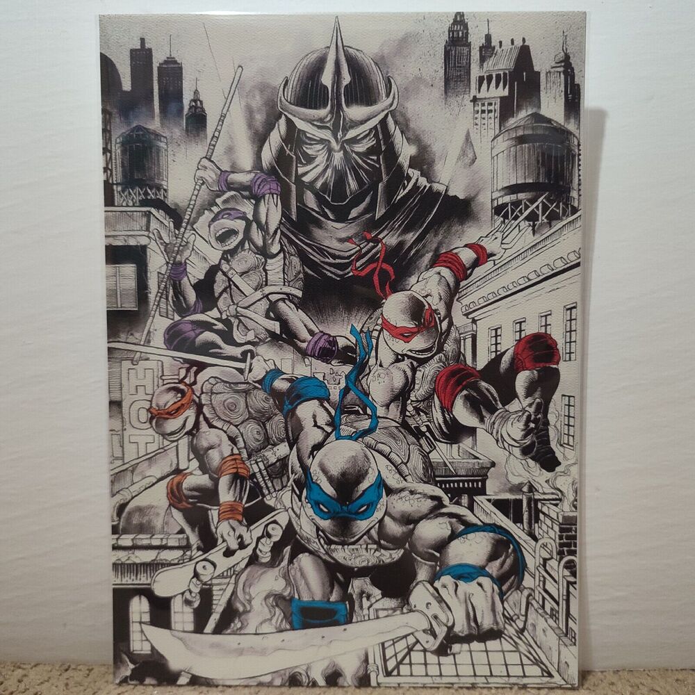 Teenage Mutant Ninja Turtles 40th Anniversary Art Print With Certificate TMNT